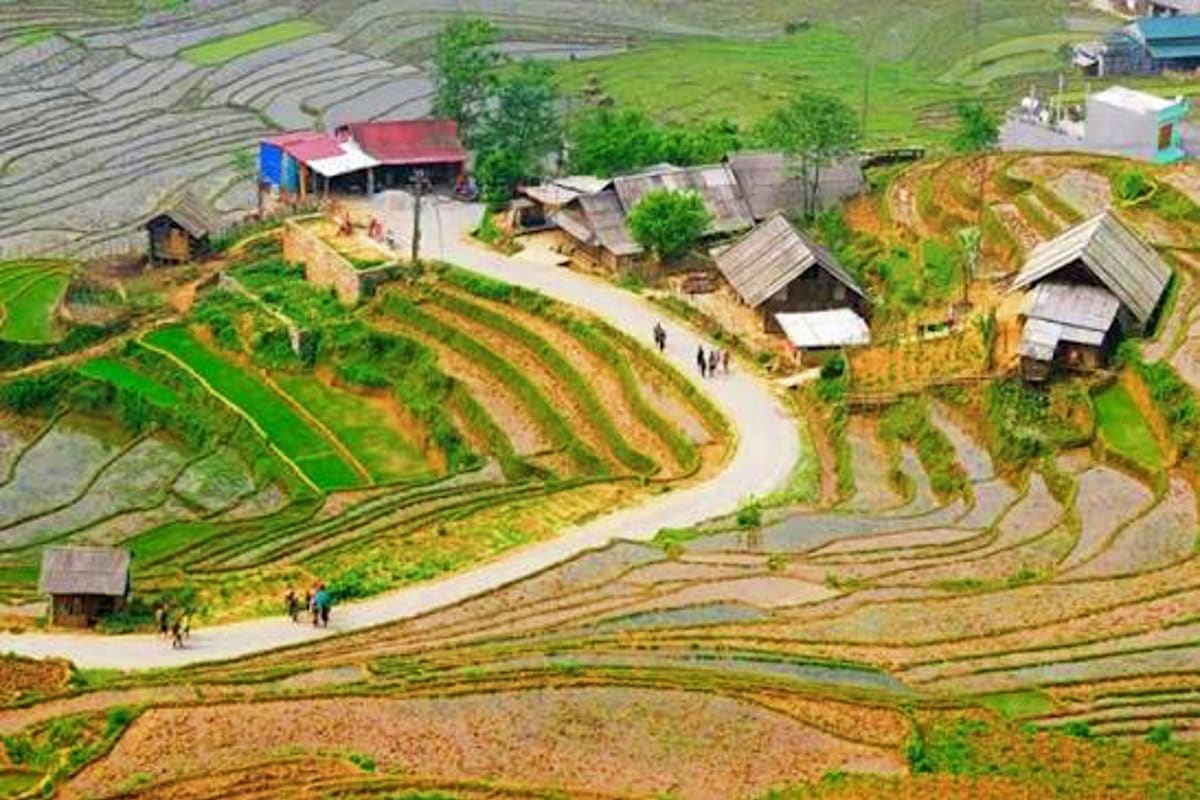 Sapa Half Day Trekking Tour Aerial view of terraced rice fields and traditional village houses in Sapa mountain region with winding path and local farmer